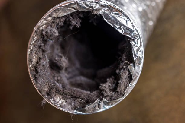 Best Ductwork Cleaning Services  in Ravenna, OH