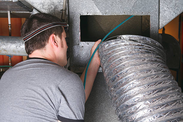 Best Air Duct Mold Removal  in Ravenna, OH